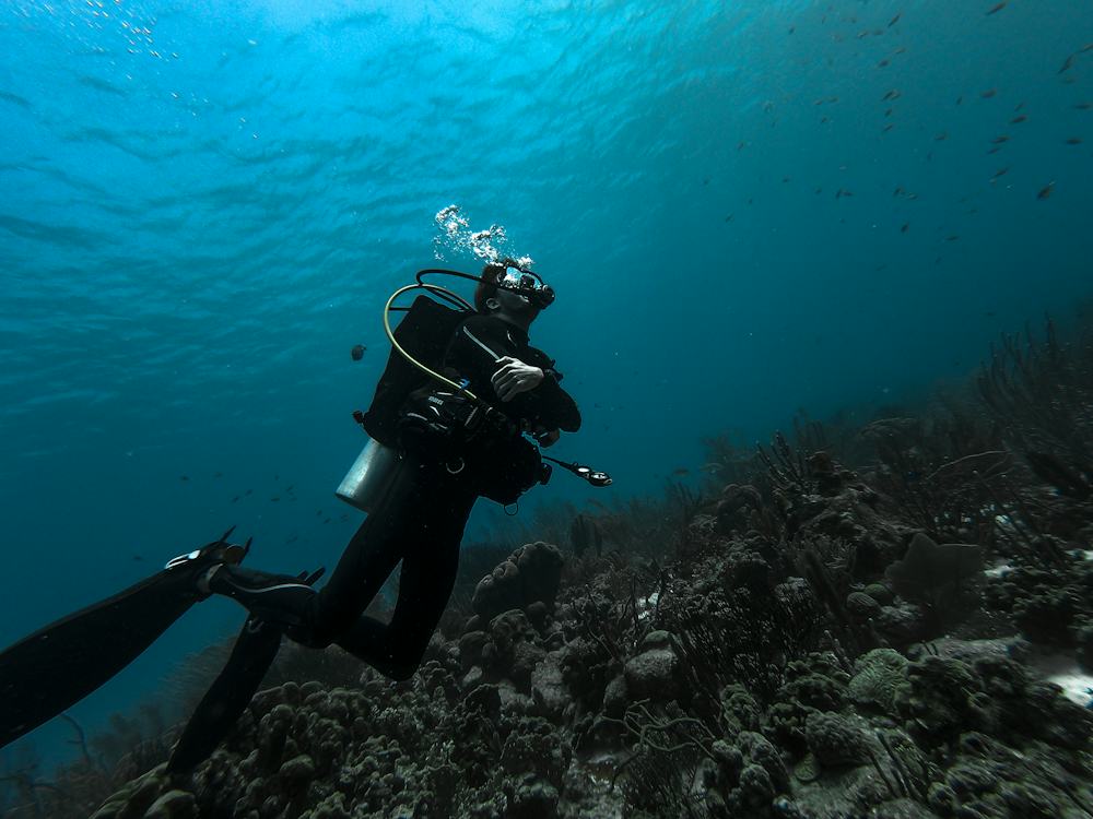 Utila vs. Roatán: Which Bay Island Should You Visit?