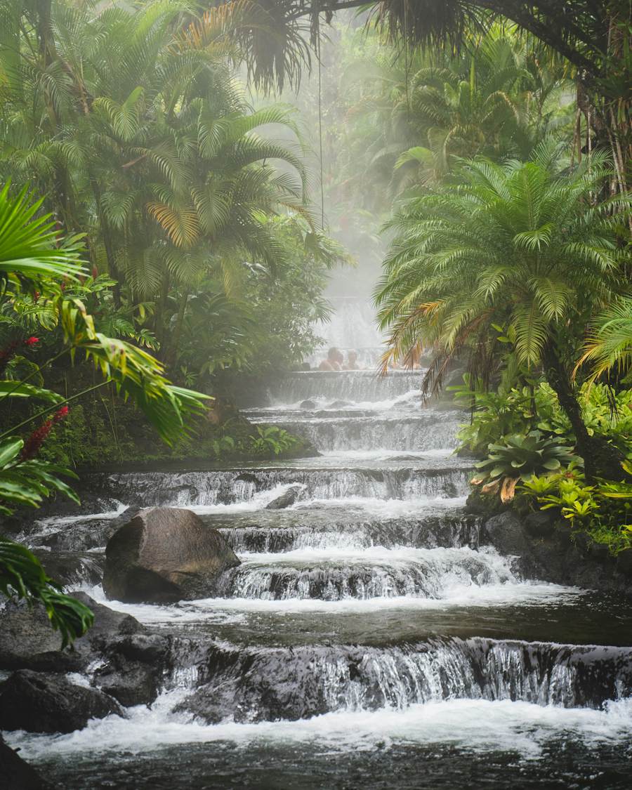 Pico Bonito National Park: A Hiking Guide from La Ceiba